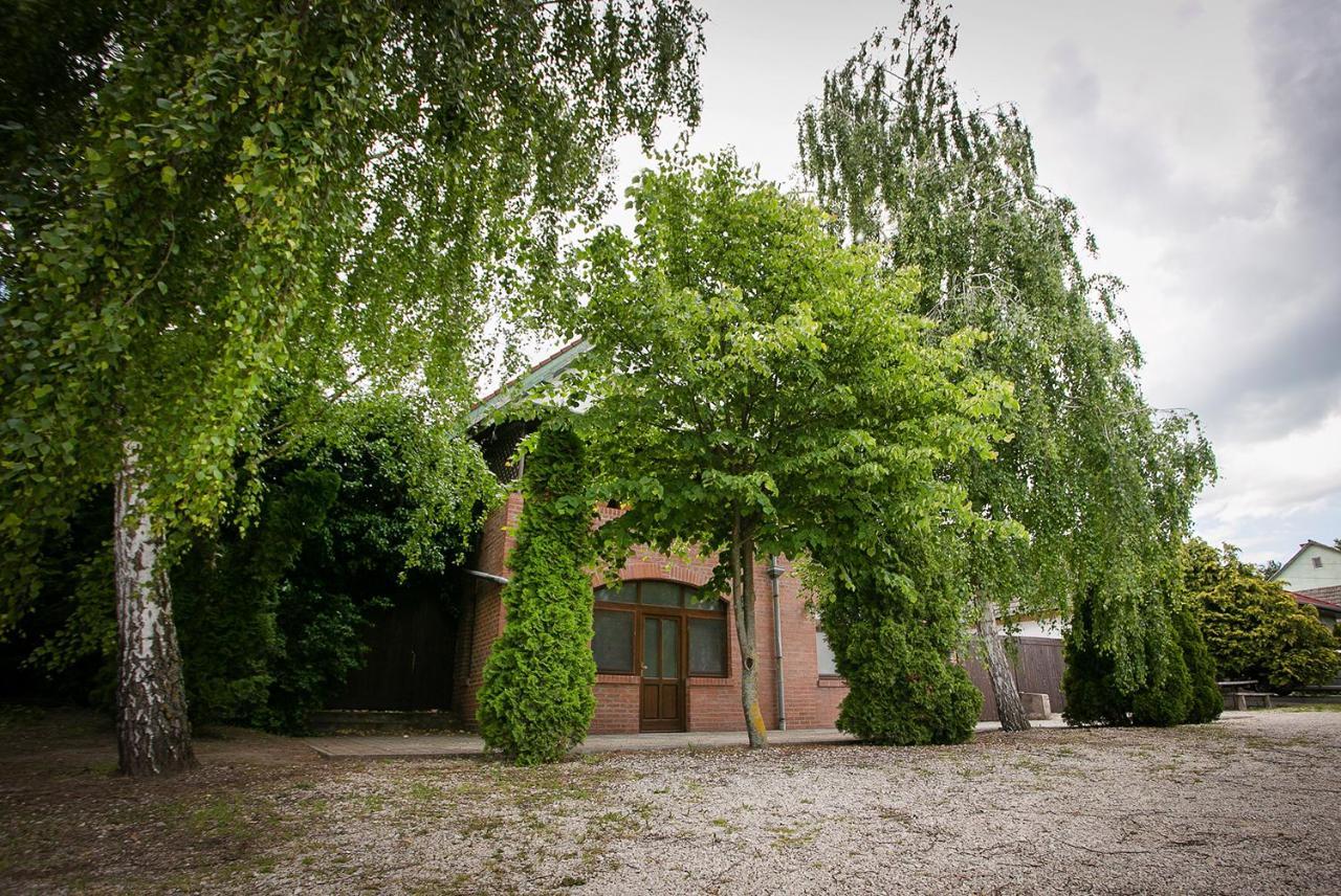 Forras Vendeghaz Villa Dunaegyhaza Exteriör bild